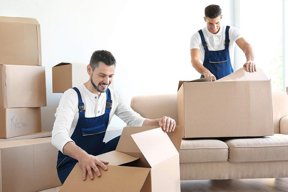 Movers in Sharjah